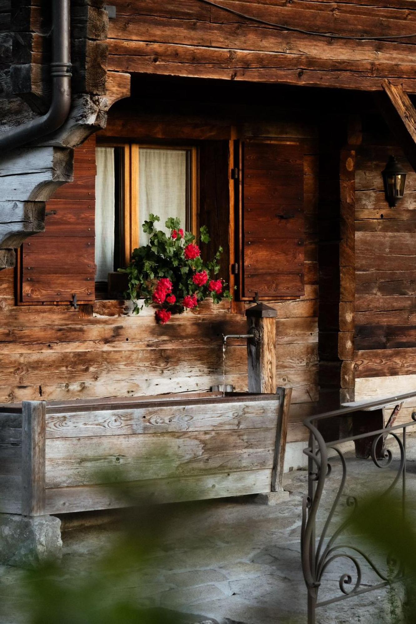La Ferme Du Var Ла-Клюза Екстер'єр фото